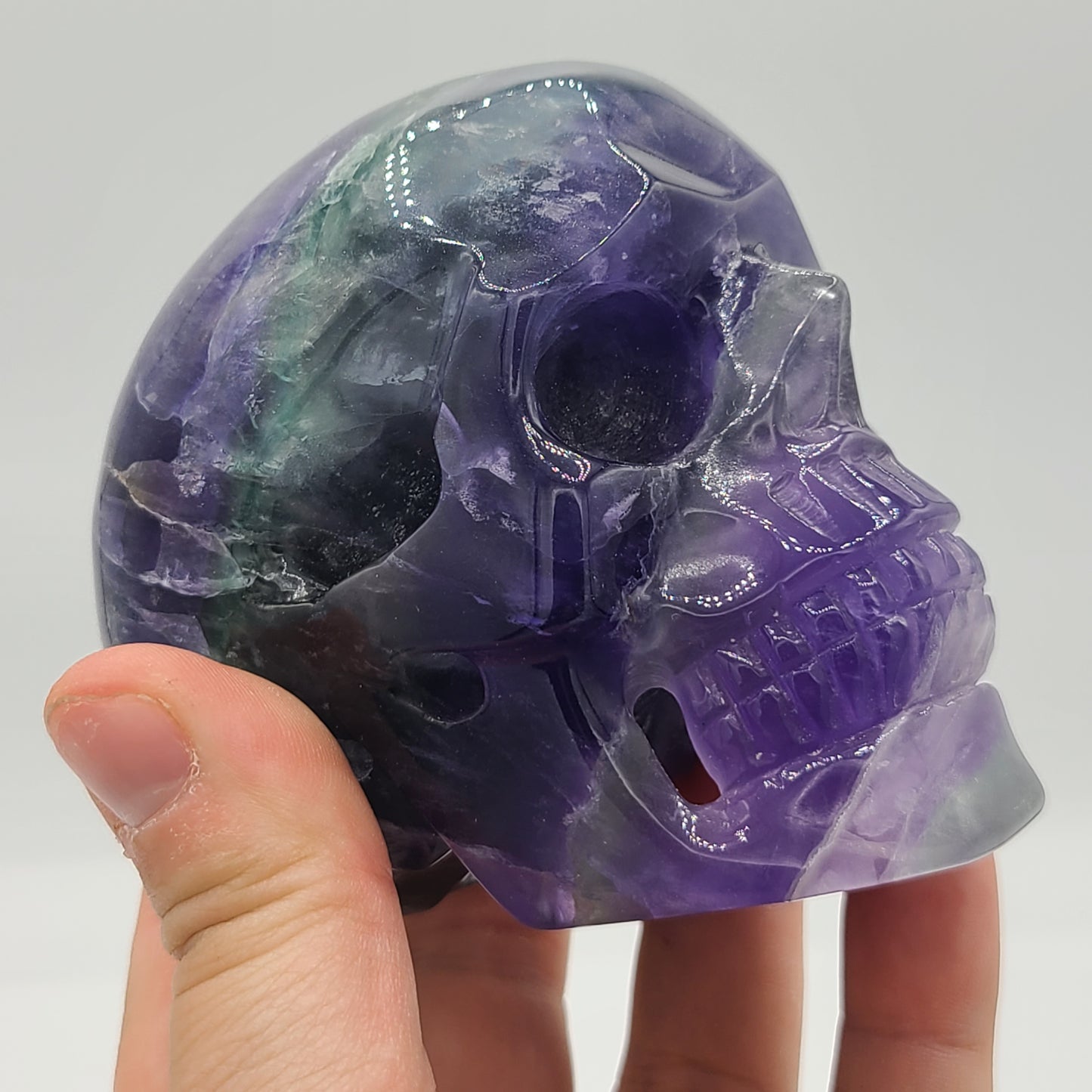 Large Skull 3” to 4”