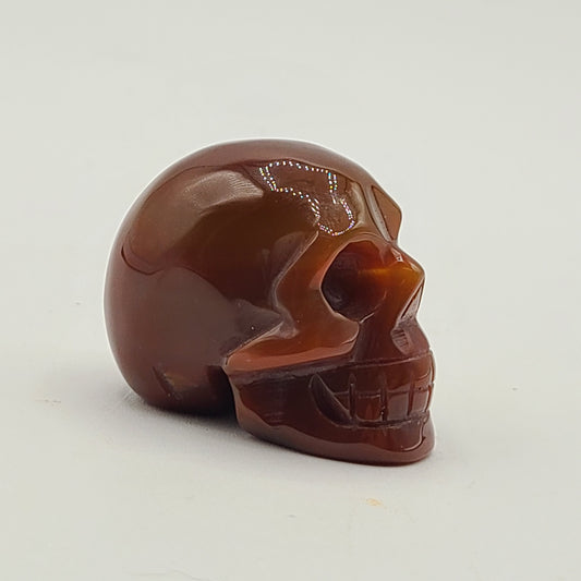 Medium Skull 2” to 2.5”