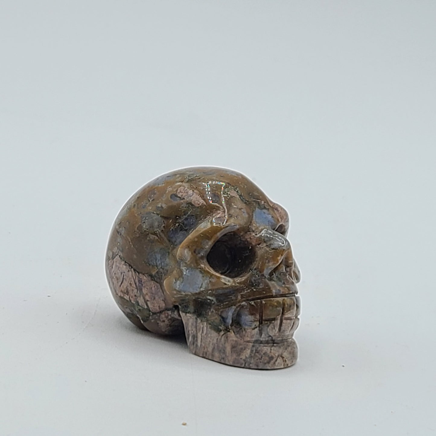 Medium Skull 2” to 2.5”