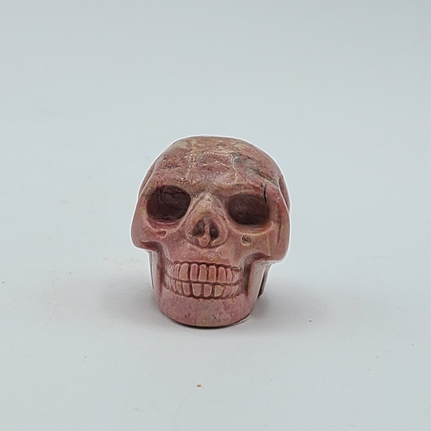 Medium Skull 2” to 2.5”