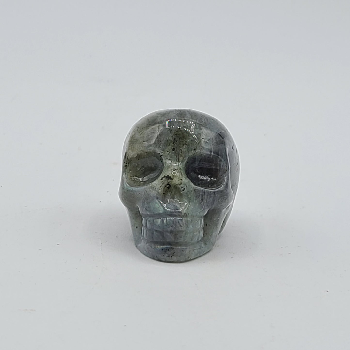 Medium Skull 2” to 2.5”