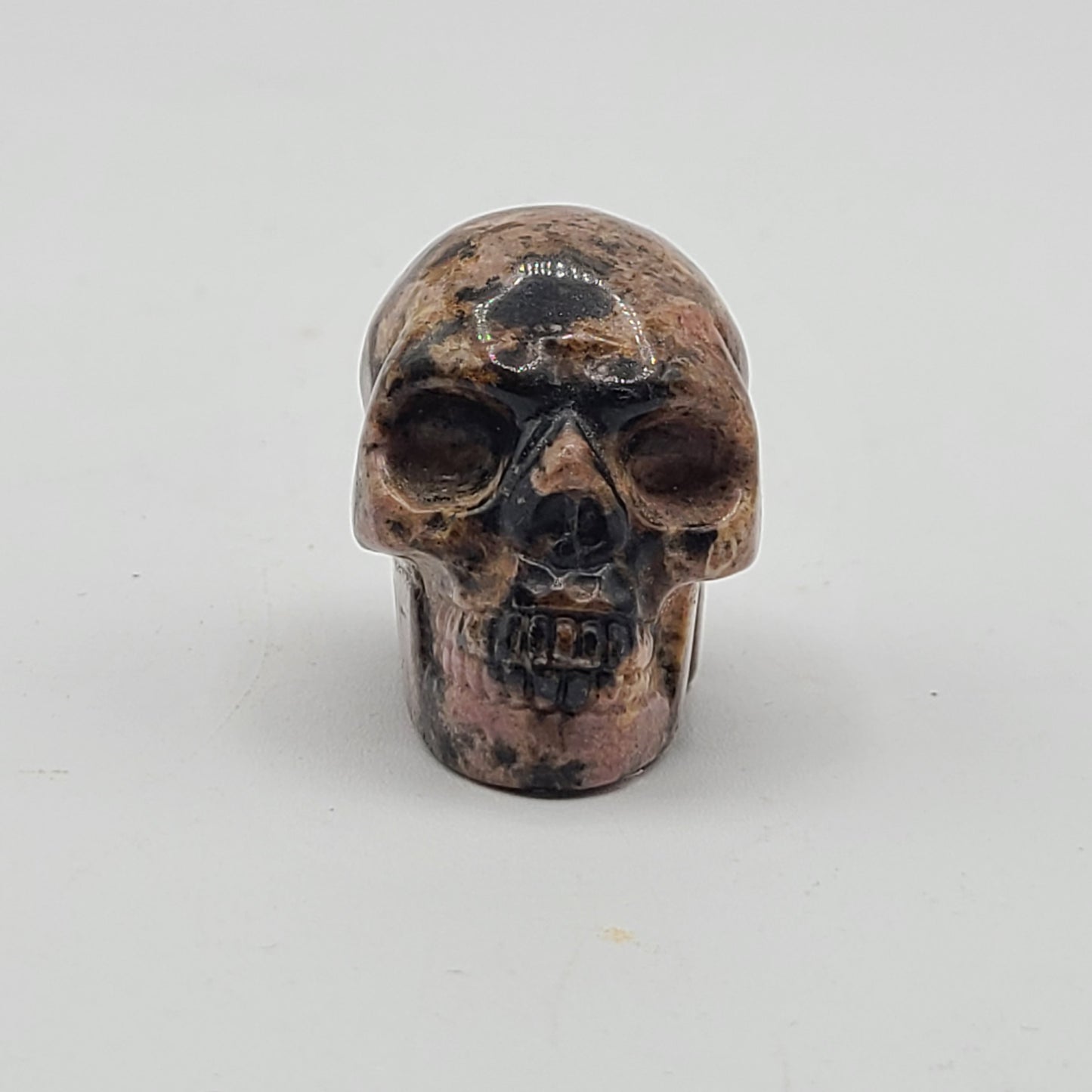 Medium Skull 2” to 2.5”