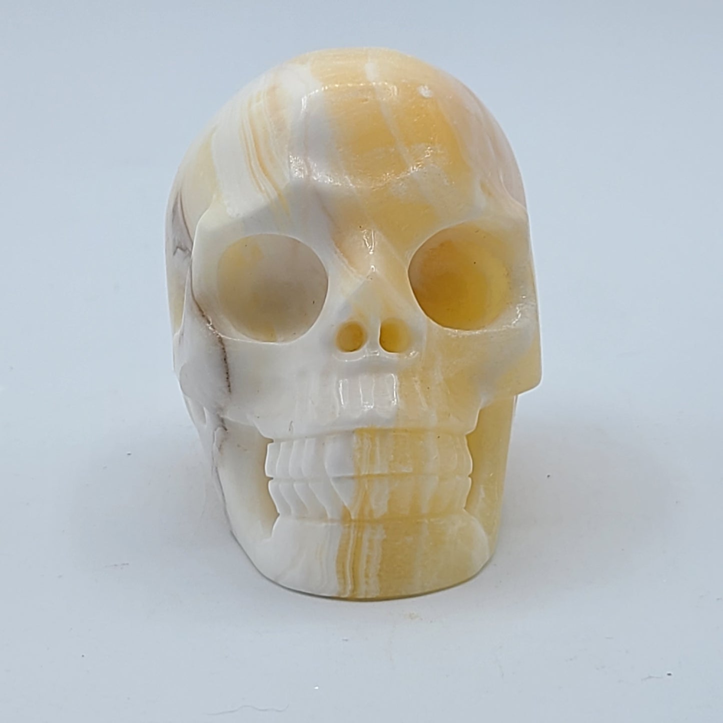 Large Skull 3” to 4”