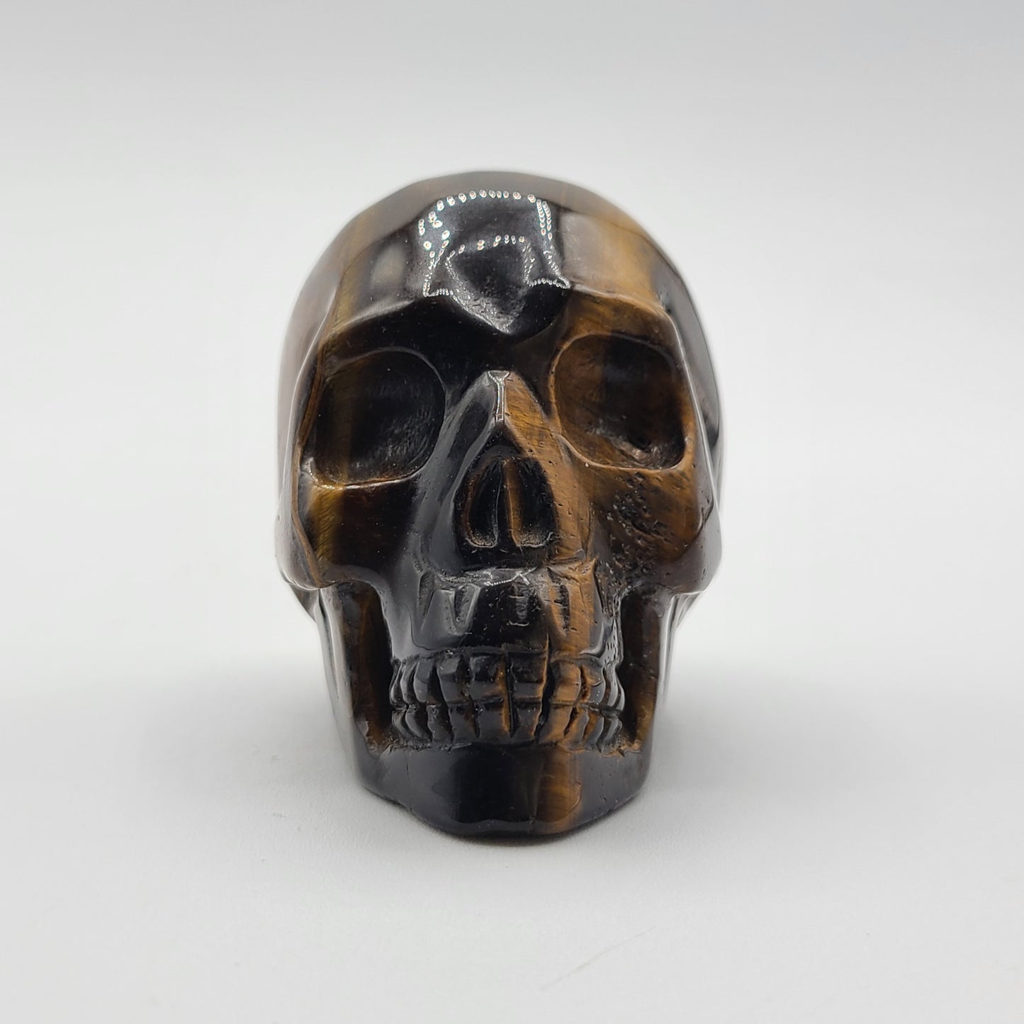 Large Skull 3” to 4”