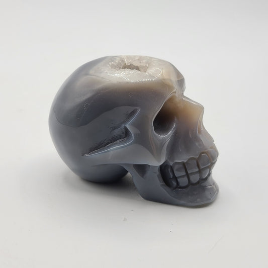 Large Skull 3” to 4”