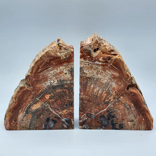 Red Petrified Wood Bookends