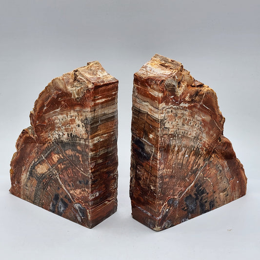 Red Petrified Wood Bookends