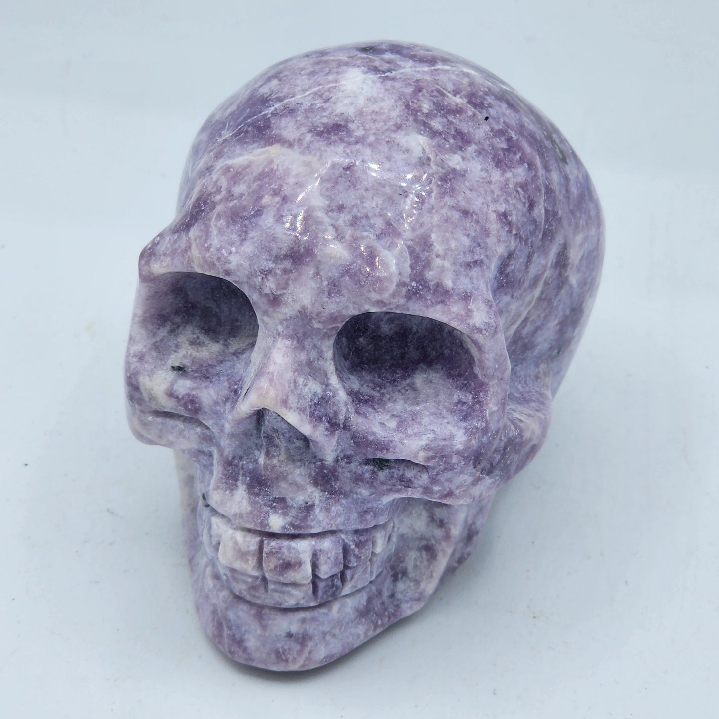 Large Skull 3” to 4”