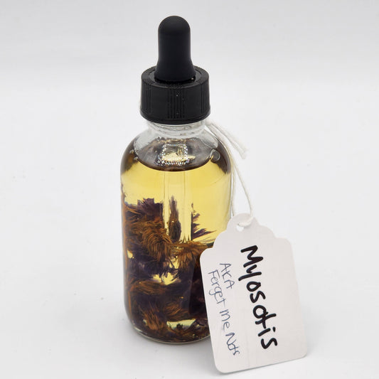 Essential Oils - Myosotis